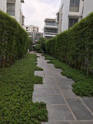 Este Villa (D28), Terrace #146469472